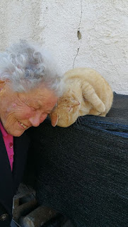 Tras cuatro años esta anciana se reencuentra con su gato desaparecido en el terremoto