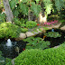 Step by step instructions to Build A Pond - 5 Things To Consider