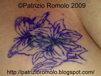 Dragon Heart Tattoo: TATTOO - ORCHIDEA E FARFALLA