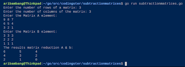 Output of Program subtraction two matrices golang