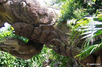 Animals Carved Tree of South African