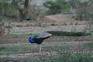 Agri tourism pune