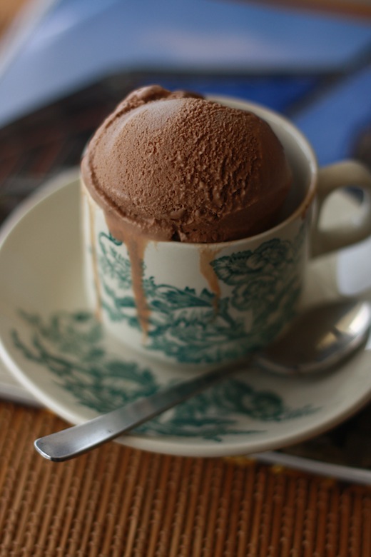 Roasted Coffee Bean Chocolate  Ice  Cream  Season with Spice