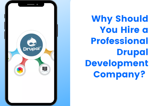 Professional Drupal Development Company