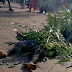 Suspected Fulani Herdsmen Attack Benue Community, Kill Two Teenagers