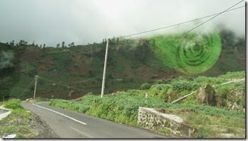 SAM_0894