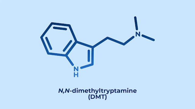 How To Make DMT ? Full Details