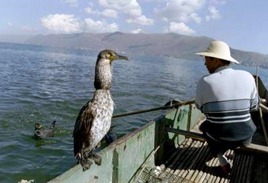 photo_1113938238625966
