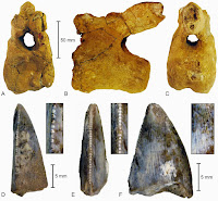 http://sciencythoughts.blogspot.co.uk/2014/03/dinosaur-remains-from-northwestern.html