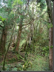 DSCN5483