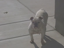 Daisy Duke