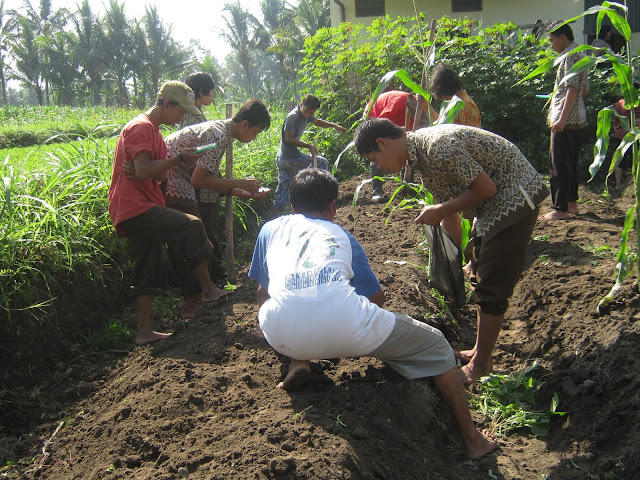 Kegiatan Bercocok Tanam