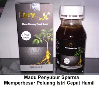 Cara alami menyuburkan sperma pria agar istrinya cepat hamil segera-Madu Eury X