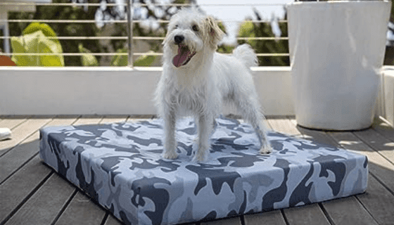 K9 Ballistics Tough Orthopedic Dog Bed