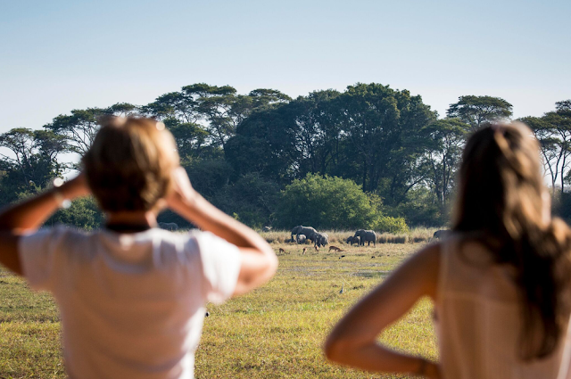 Мусекезе Кемп Замбия | Musekese Camp, Kafue National Park< Zambia