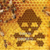Η Monsato Φτιάχνει Ρομποτικές Μέλισσες για Επικονίαση!!! - ΒΙΝΤΕΟ