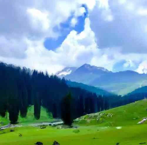 A scenic view of Brenwar Village, nestled in lush meadows and valleys in Jammu and Kashmir, India.