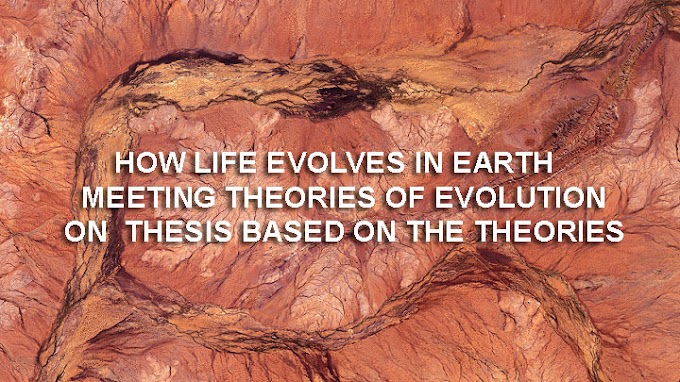 How did life evolve on the planet?