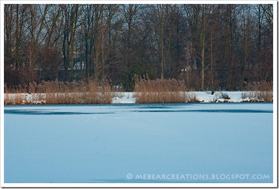Winter-25