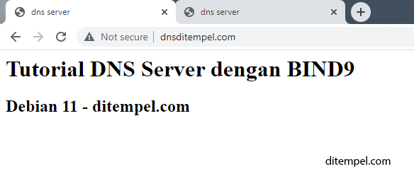 dns server