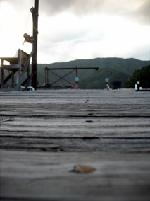 DSCN0156