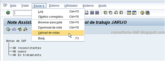 Subir notas a SAP