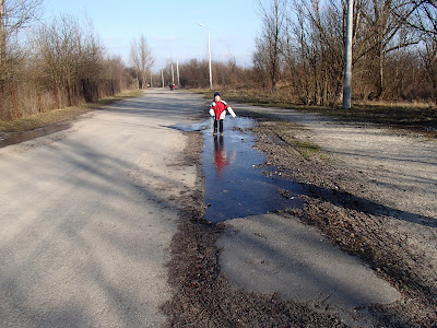 Spacer na Zakrzówku, grzyby 2018, grzyby w styczniu, grzyby zimowe