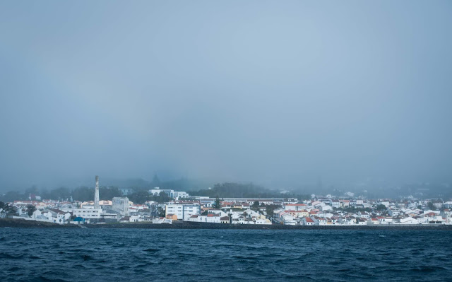 Whale watching with Picos de Aventura; São Miguel, Azores