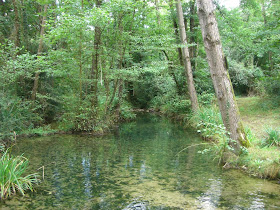 Landscape near the gorge of Moli de Murris in La Garrotxa