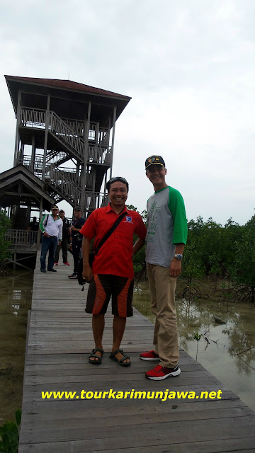 tracking mangrove karimunjawa