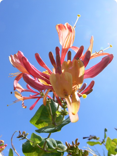 P1300337