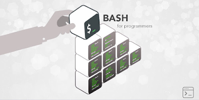 best interactive course to learn bash scripting