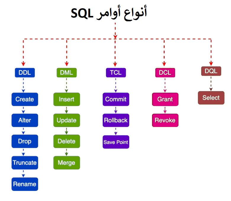 أنواع أوامر ال SQL