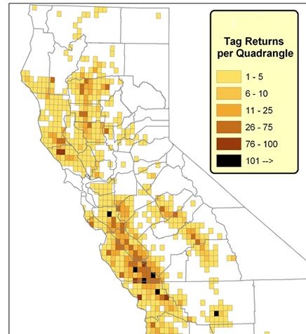 BEST COUNTIES FOR PIG HUNTING CALIFORNIA