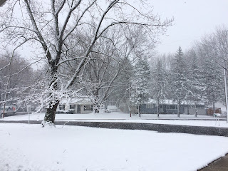 Snowy morning of April 7 2017