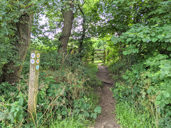 The junction with Kings Walden footpath 27 heading NE