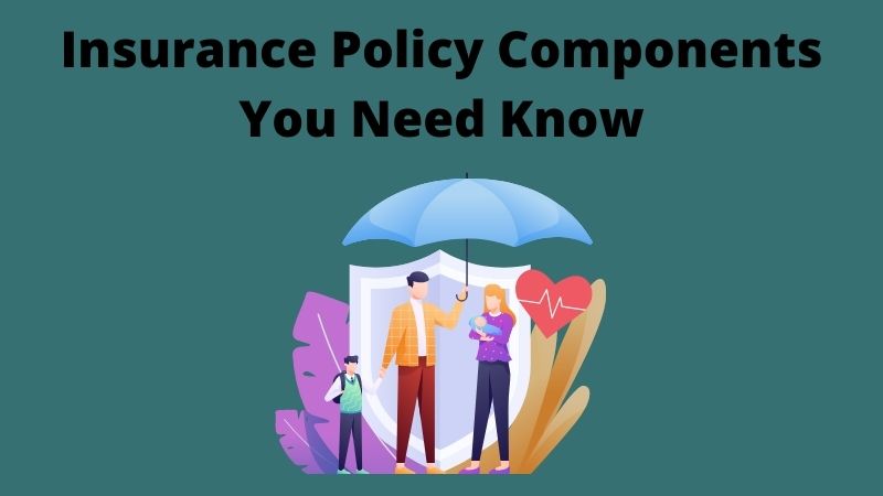 Insurance Policy Components You Need Know