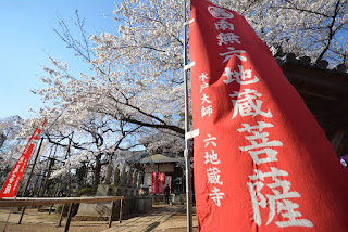 水戸市六地蔵寺の桜