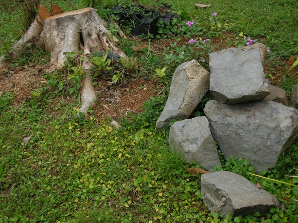 DSCN0759