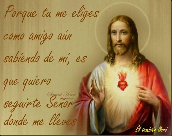 ElTambien_tesigo