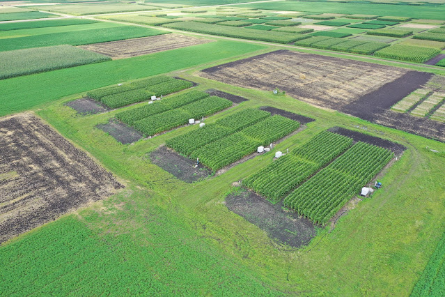 Traditional vs advanced nitrogen management practices in poorly drained soils