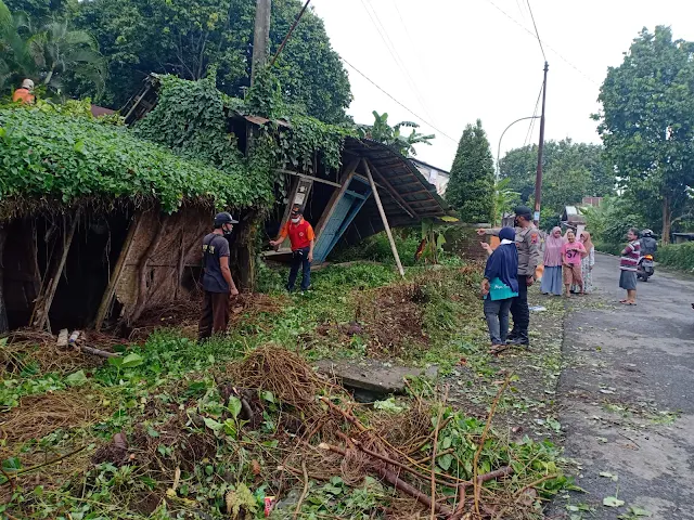 Rumah Warga Kutasari Purbalingga Tertimpa Pohon Begini Kronologinya