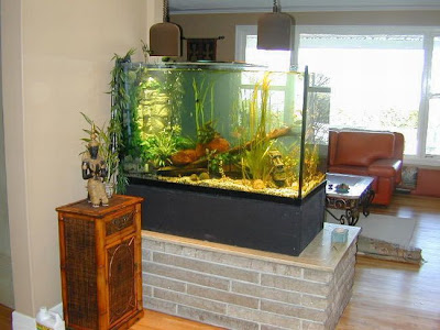 fish aquarium design