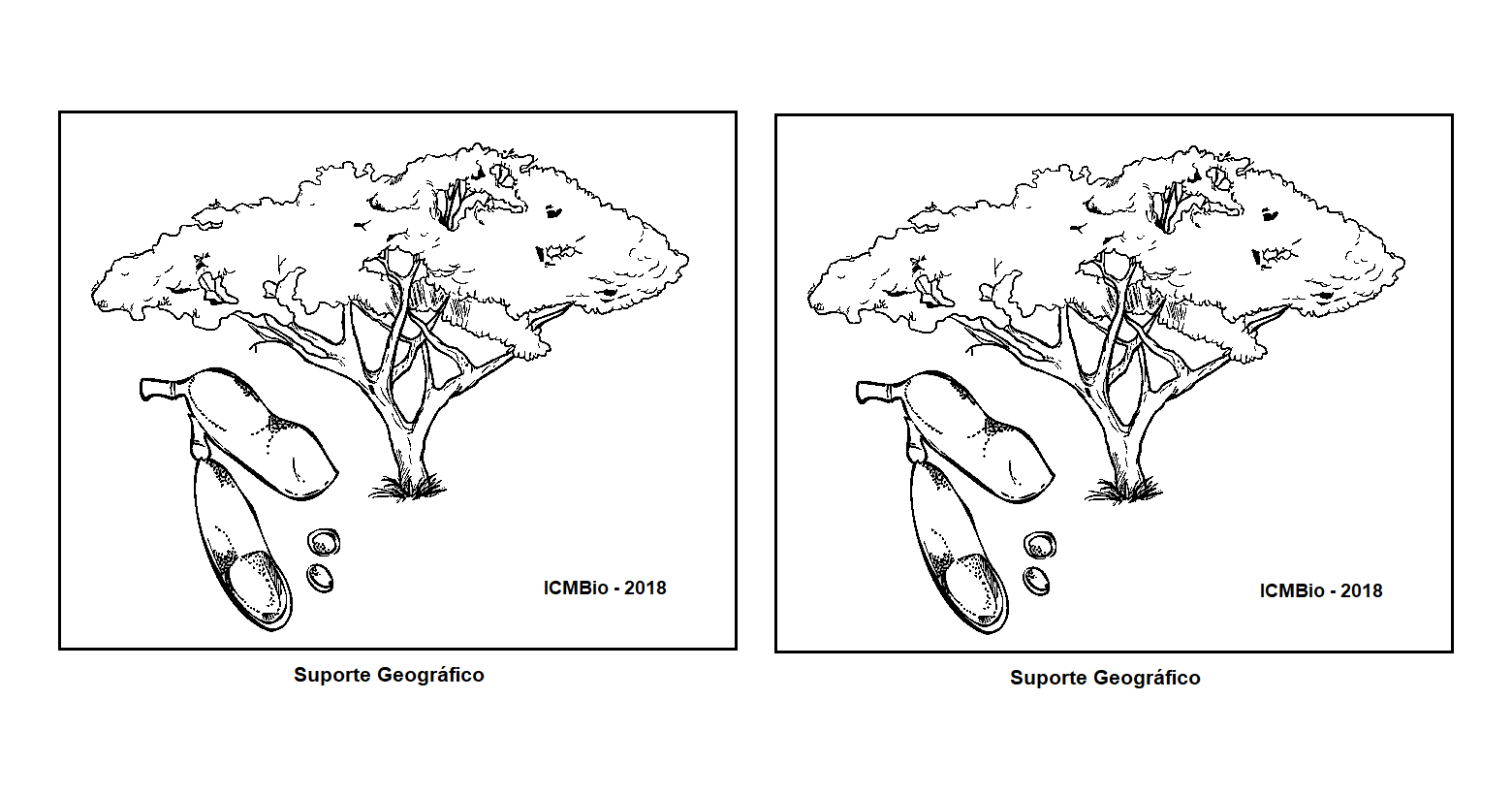 JATOBÁDOCERRADO PARA COLORIR II Suporte Geográfico