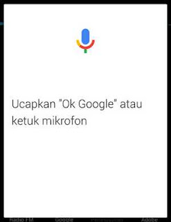 telusur suara google