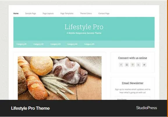 Lifestyle Pro Theme Award Winning Pro Themes for Wordpress Blog : Award Winning Blog