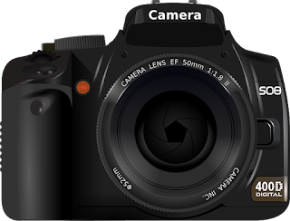 Basics Of The Digital Camera