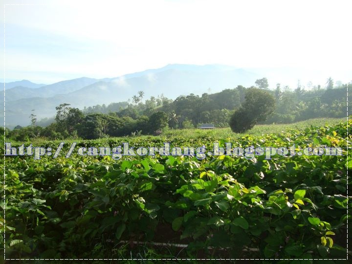 Pemandangan Alam Yang Indah Koro Pedang