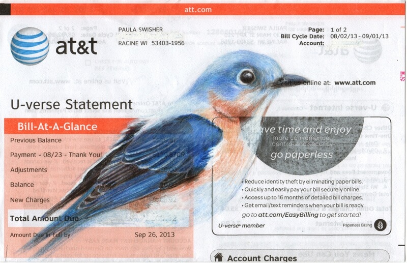 01-AT&T-statement-bird-Bird-Drawings-Paula-Swisher-www-designstack-co