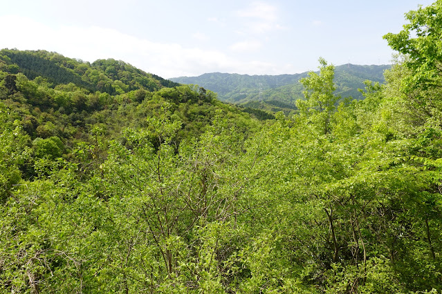 鳥取県西伯郡南部町上中谷 鎌倉山グリーンラインからの眺望